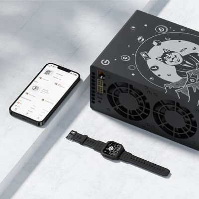 Goldshell Mini-DOGE III 650Mh/S Νέος Crypto Miner Scrypt Αλγόριθμος LTC Doge Asic Miner